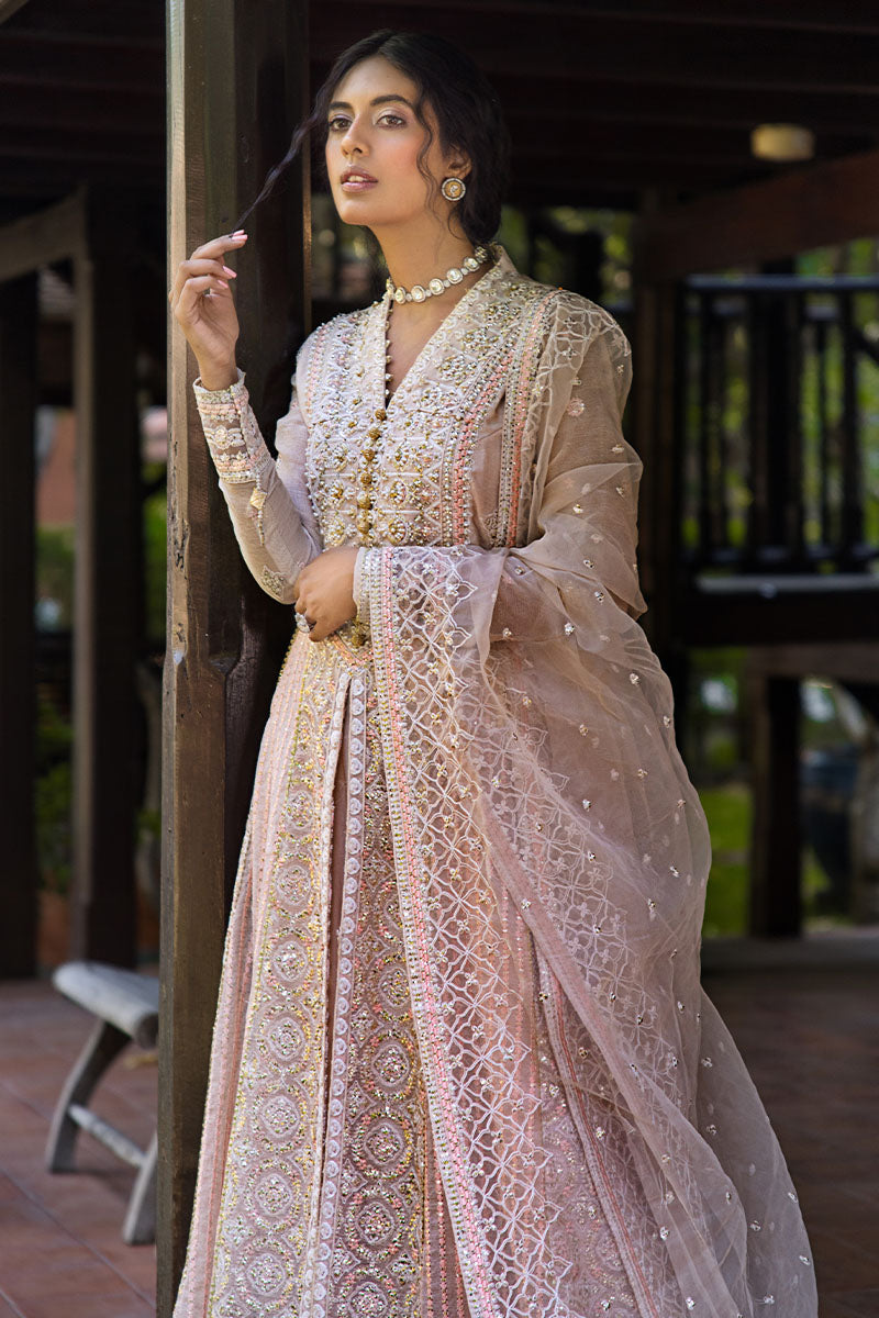 Mushq | Roohi Luxury Collection | Anika